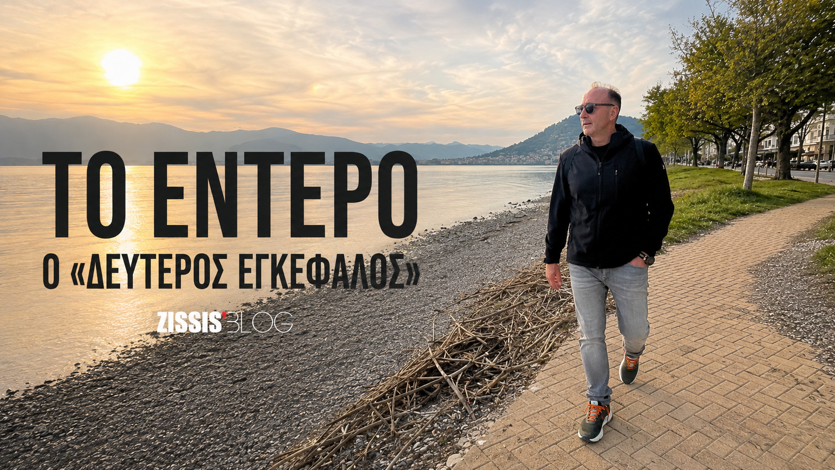 Προβιοτικά για το έντερο, μικροβίωμα και ο δεύτερος εγκέφαλος